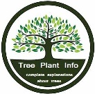 Tree-Plant-Info
